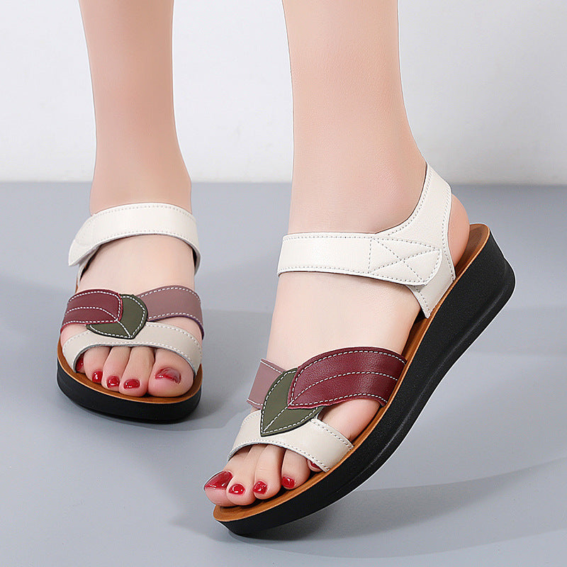 Sandales d'été à semelle épaisse pour femmes, décontractées, antidérapantes et confortables, avec fermeture velcro