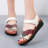 Sandales d'été à semelle épaisse pour femmes, décontractées, antidérapantes et confortables, avec fermeture velcro